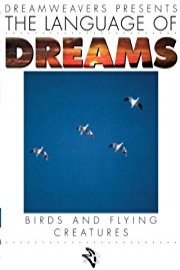 LANGUAGE OF DREAMS: BIRDS & FLYING CREATURES # 1.