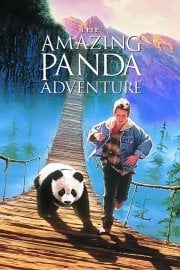 The Amazing Panda Adventure