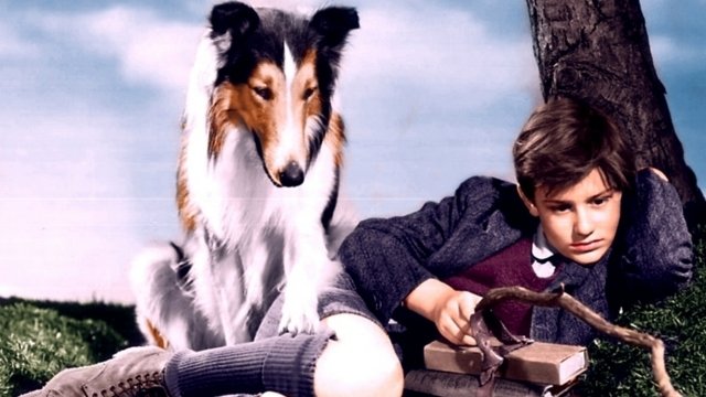 Lassie - Movies on Google Play