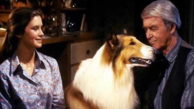 The Courage of Lassie, Full Movie