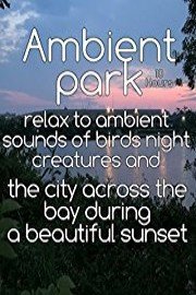 Ambient park relax to ambient sounds of birds night creatures and the city across the bay during a beautiful sunset 10 hours