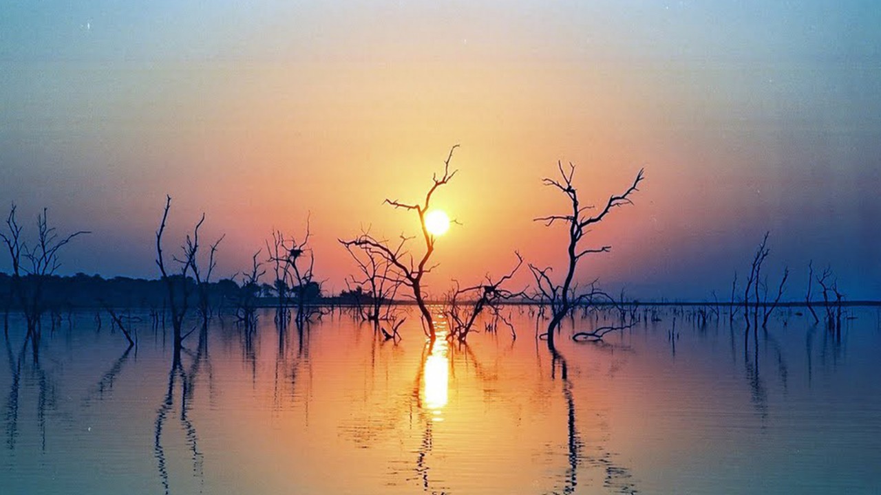 African Food Adventures Kapenta