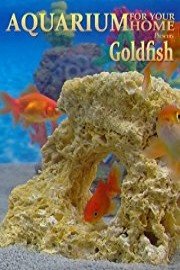 Goldfish Aquarium - A Goldfish tank for your home!