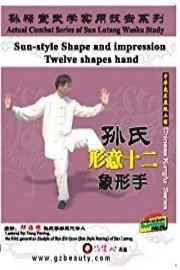 Sun-style Shape and impression Twelve shapes hand
