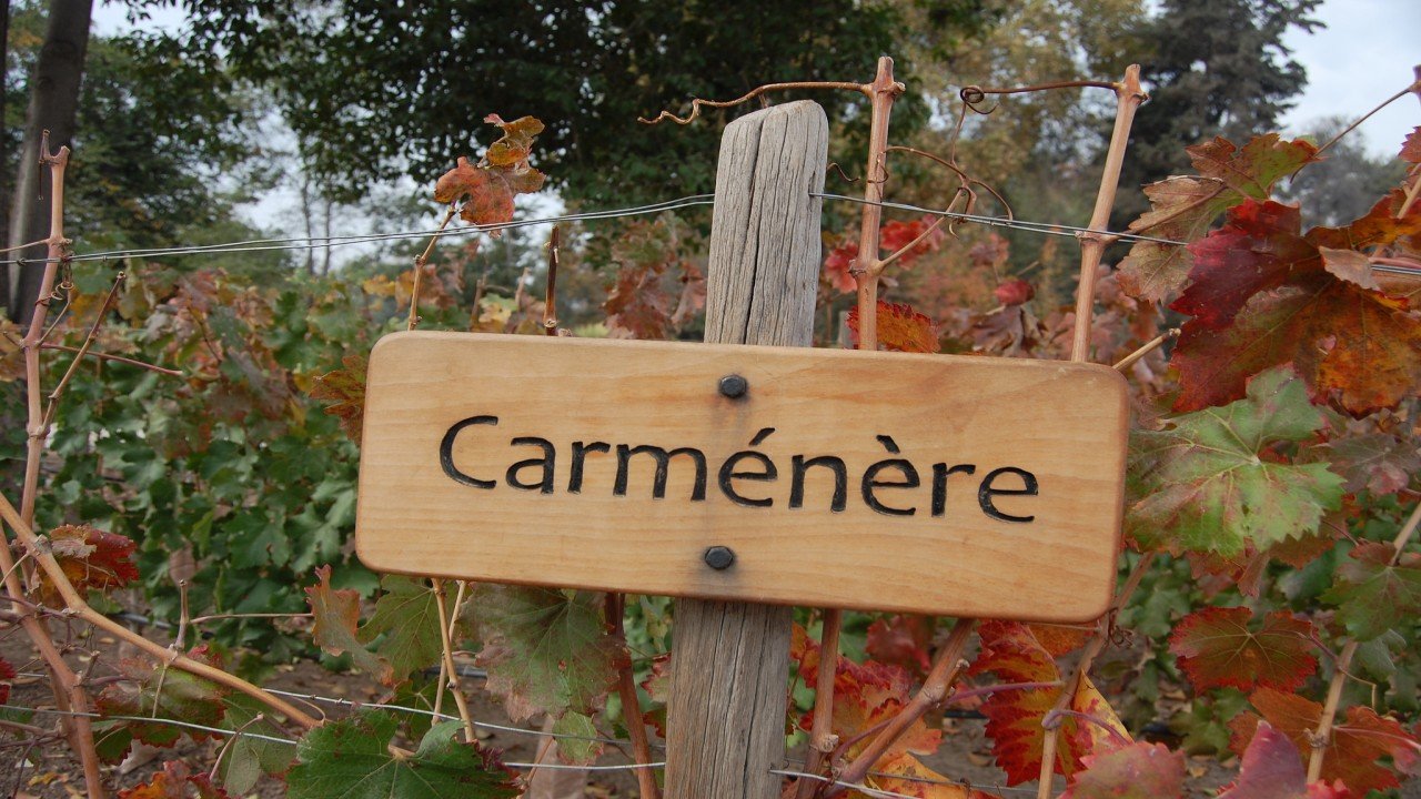 Culinary Travels Chilean Wine-Starting from the South