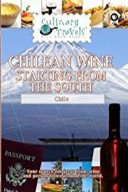 Culinary Travels Chilean Wine-Starting from the South
