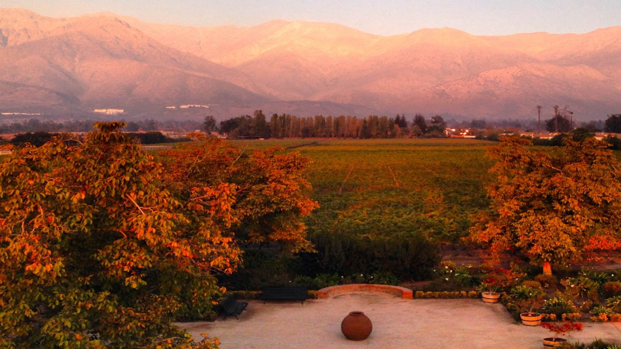 Culinary Travels Chilean Wine