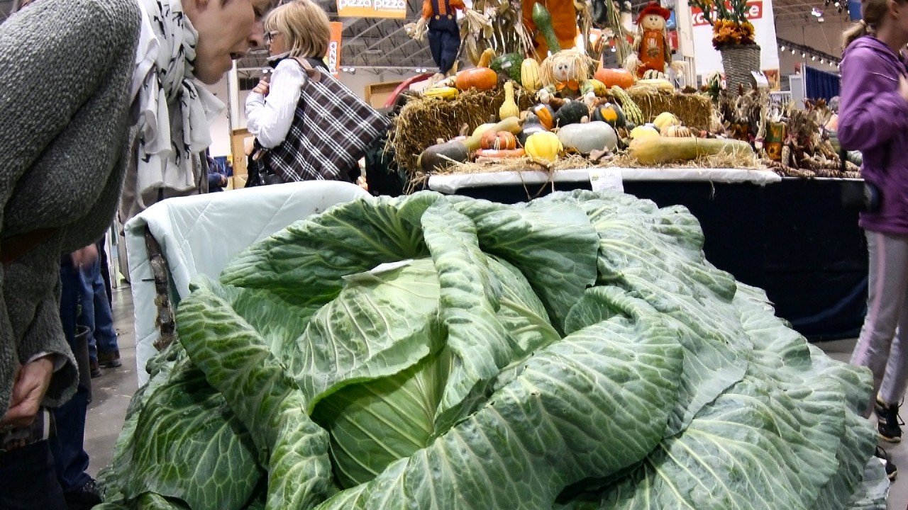 Culinary Travels Ontario-Going Green