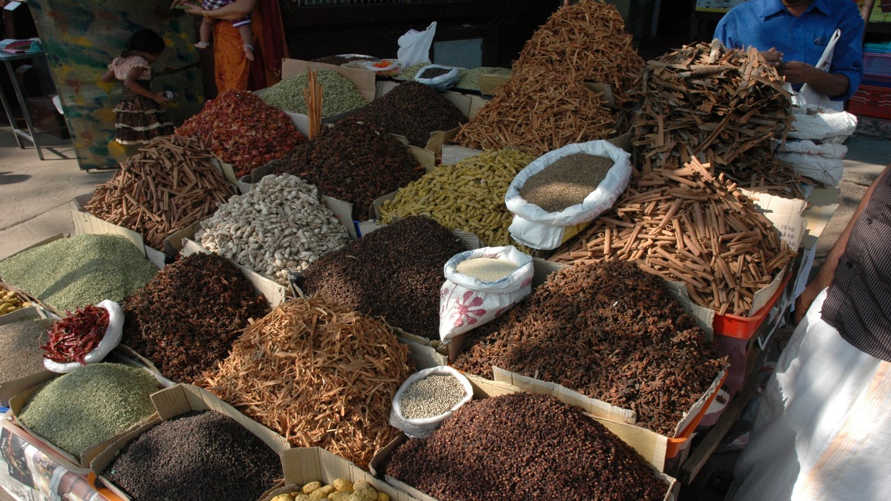 Culinary Travels On the Spice Trail Southern India-Kikkoman Soy Sauce