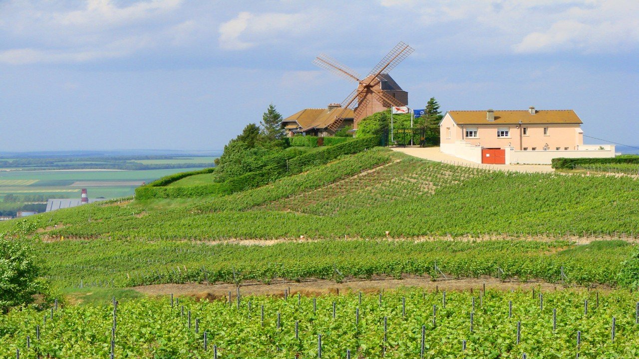 Culinary Travels A Toast to Champagne Champagne, France
