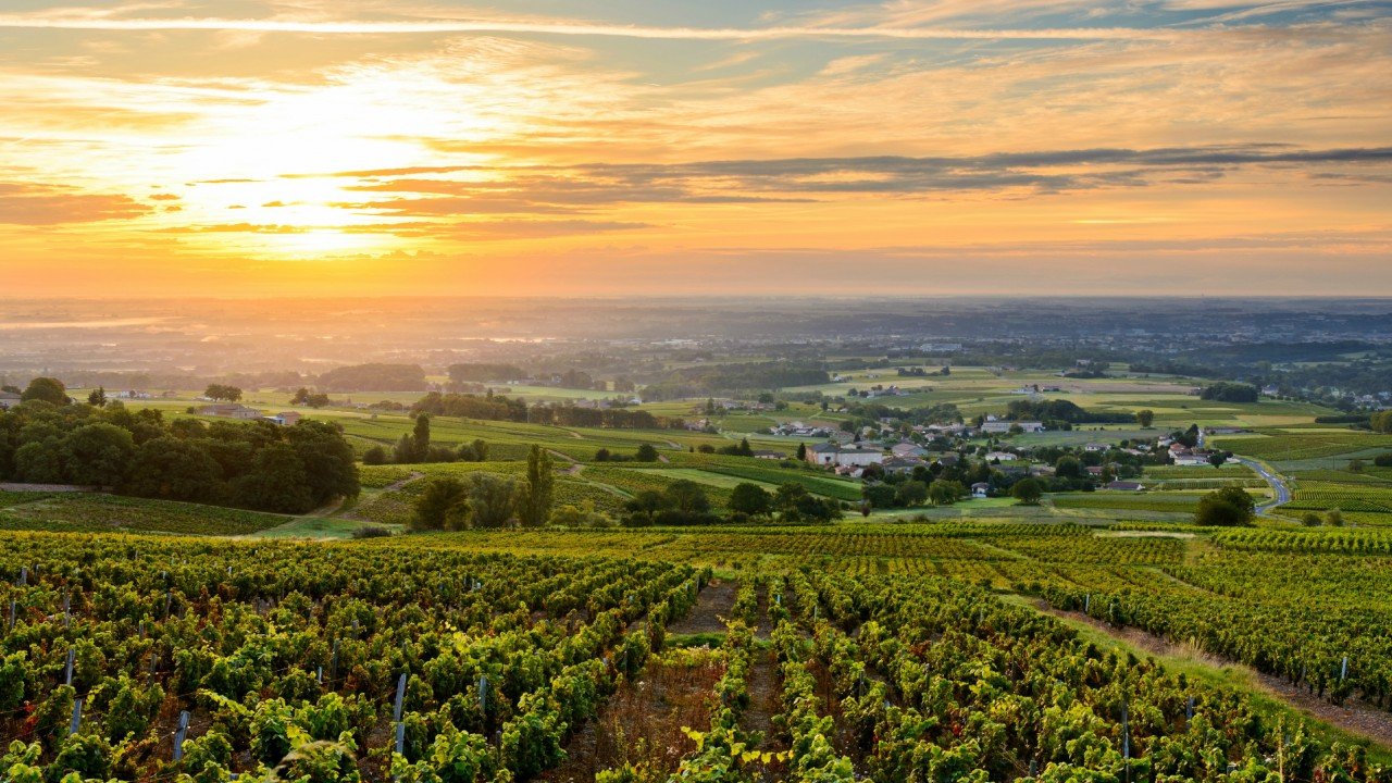 Culinary Travels Beaujolais