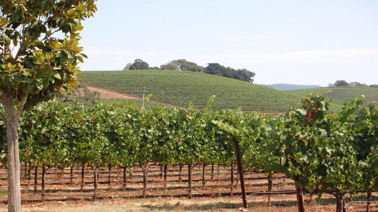 Culinary Travels Wining your way through Napa and Sonoma