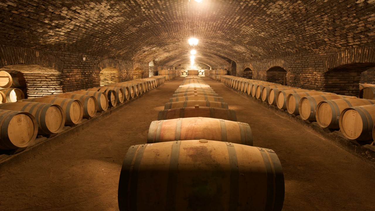 Culinary Travels The Markets and Wines of Chile