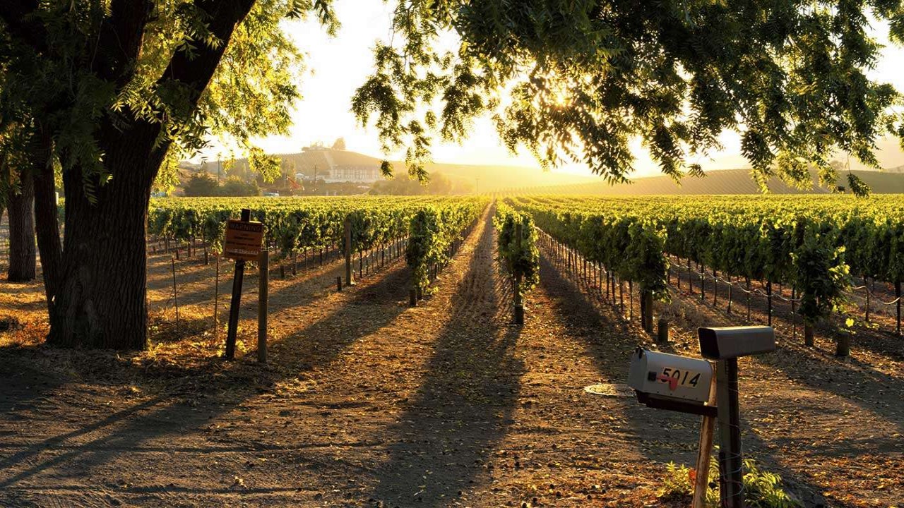 Culinary Travels Sonoma A Special Place