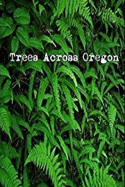 Trees Across Oregon