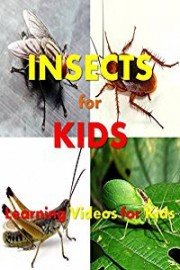 Insects for Kids: Learning Videos for Kids