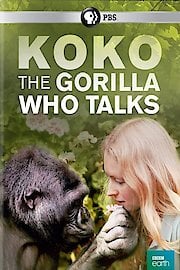 Koko: The Gorilla Who Talks