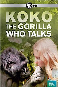 Koko: The Gorilla Who Talks