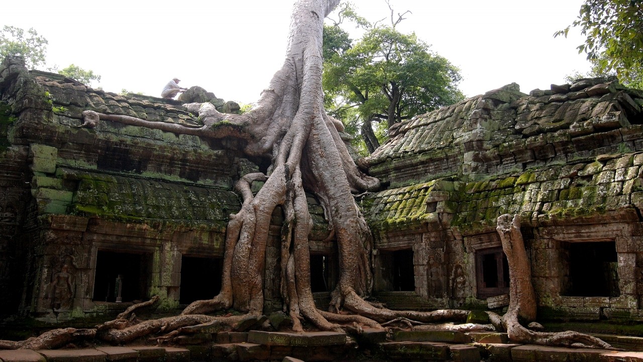 Angkor Rediscovered