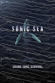 Sonic Sea