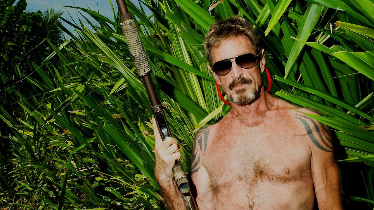 Gringo: The Dangerous Life of John McAfee