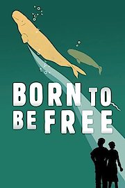 Born to Be Free