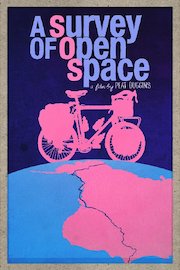 A Survey of Open Space