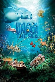 Under the Sea