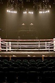 Boxing: Lemieux vs. Stevens
