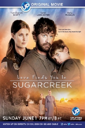 Watch Love Finds You In Sugarcreek Online Movie Yidio