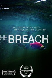 The Breach