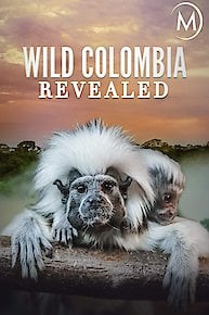 Colombia: Wild Magic