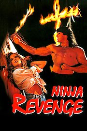 Ninja Vengeance