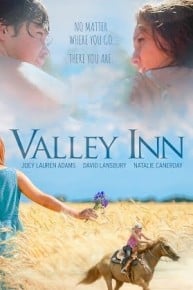 Valley Inn