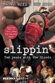 Slippin: Ten Years with the Bloods