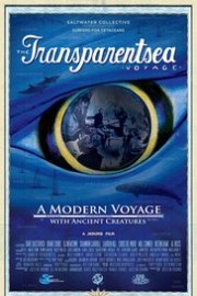 Transparentsea Voyage