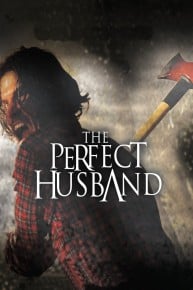 The Perfect Husband