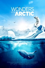 Wonders of the Arctic