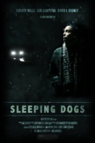 Sleeping Dogs