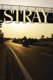 Stray