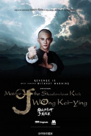 Master of the Shadowless Kick: Wong Kei-Ying