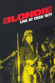 Blondie: Live At CBGB 1977