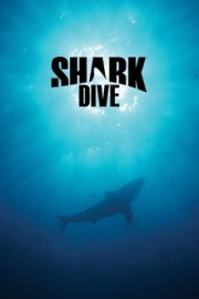 Shark Dive