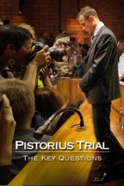 Pistorius Trial: The Key Questions