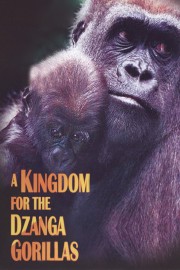 A Kingdom For The Dzanga Gorillas