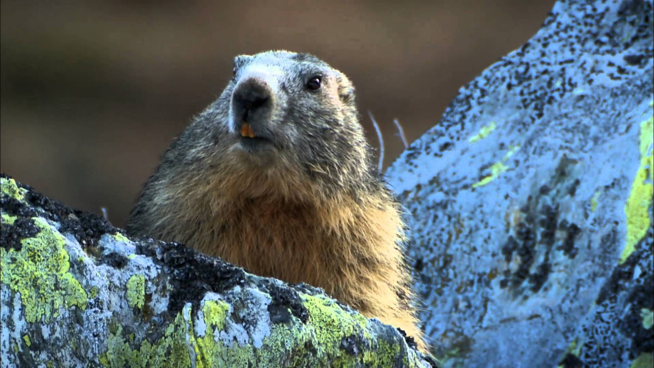 Nock - Mountains at Heaven's Door