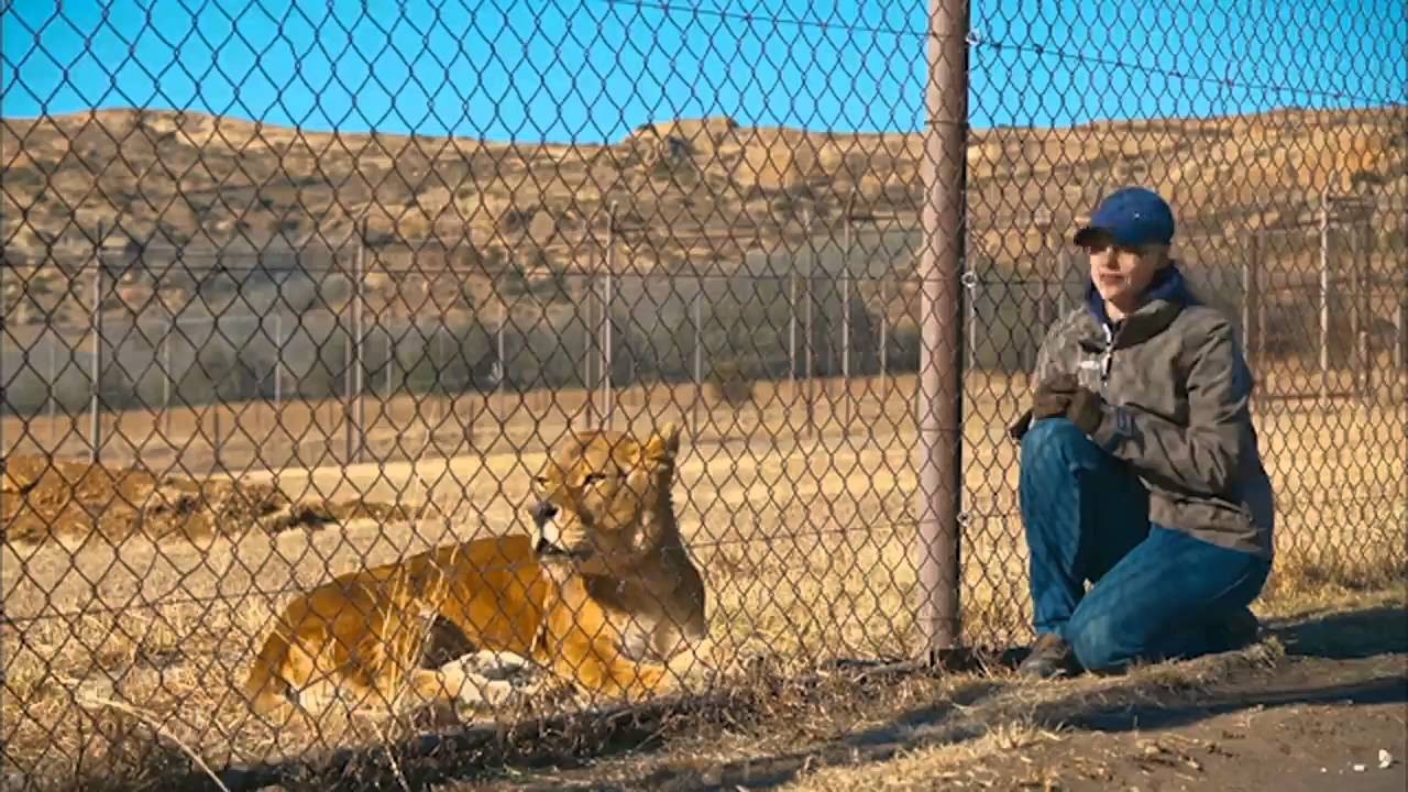 Lionsrock - Return of the King