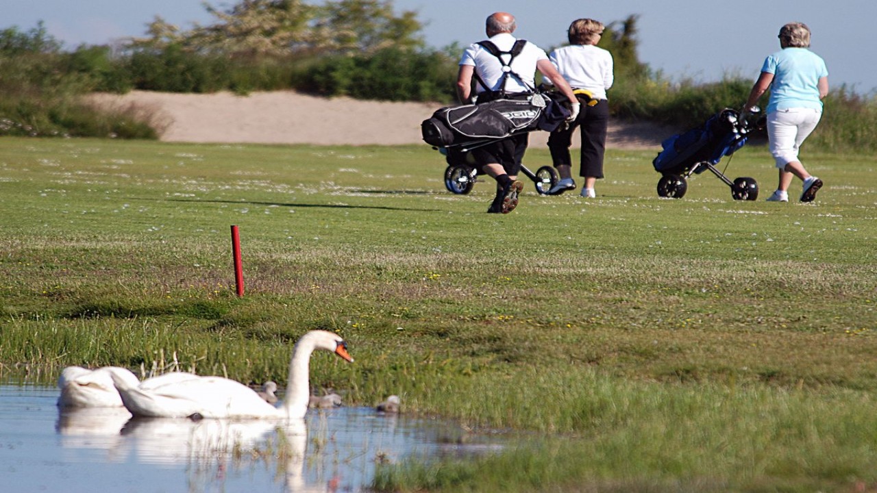 Golfing With Animals
