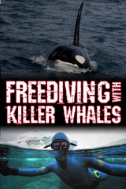 Freediving With Killer Whales
