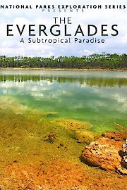 National Parks Exploration Series: The Everglades - A Subtropical Paradise